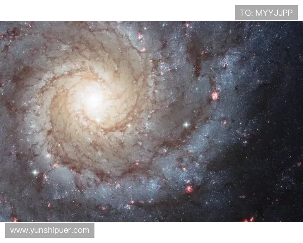 厄斯特与天狼的对决揭示了宇宙力量的奥秘与命运的交织